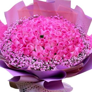 99-pink-roses-womens-day