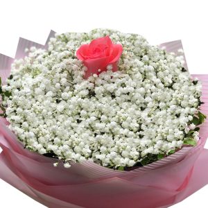baby-breaths-flowers-for-mom-02