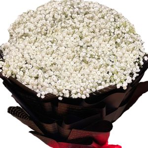 baby-breaths-flowers-for-mom-05