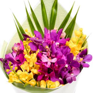 orchids-mom-04