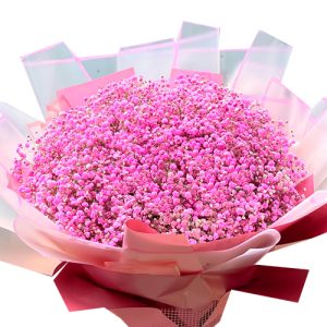 pink-baby-breaths-flowers