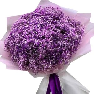 purple-baby-breath-flowers
