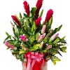 Hoa Kỷ Niệm Đặc Biệt 12