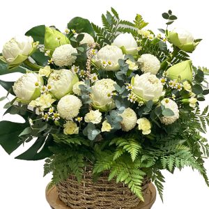 lotus-flowers-01
