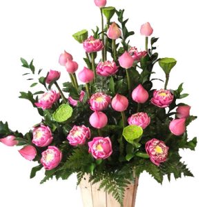 lotus-flowers-05