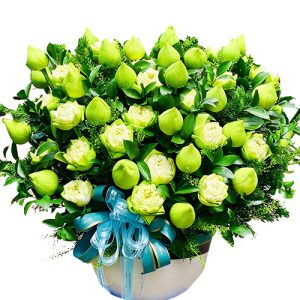 lotus-flowers-09