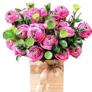lotus-flowers-12