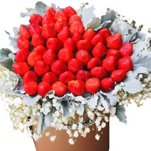 Strawberries Basket #2