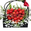 Strawberries Basket #3