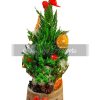 Fresh Christmas Tree 20