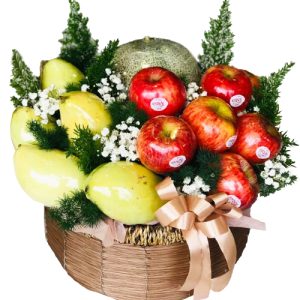 special-christmas-fruits-16
