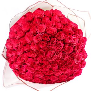 roses-for-valentine-013