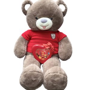 Brown teddy bear and bon o bon