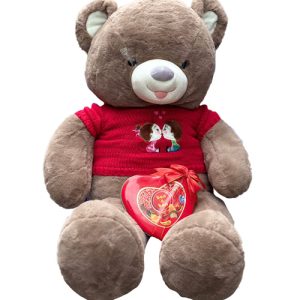 Brown teddy bear 2 and bon o bon