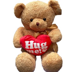 Brown Teddy bear hug me