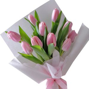 tulip flowers 07