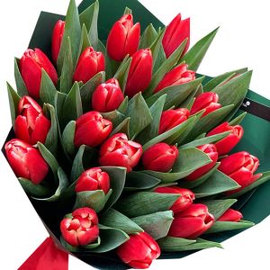 tulip flowers 09
