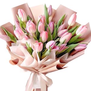 tulip flowers 12