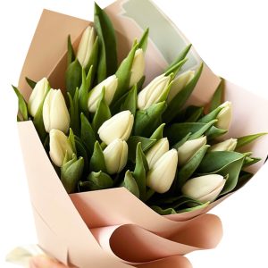 tulip flowers 14