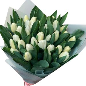 tulip flowers 16