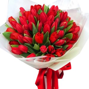 tulip flowers 17