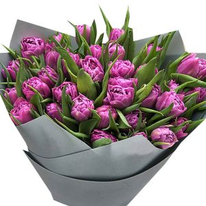 tulip flowers 19
