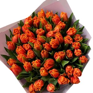 tulip flowers 20