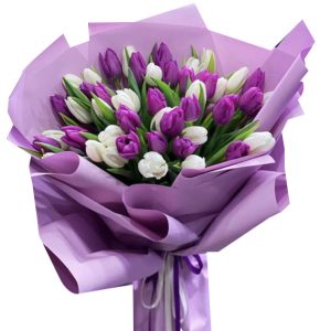 tulip flowers 21