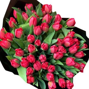tulip flowers 22
