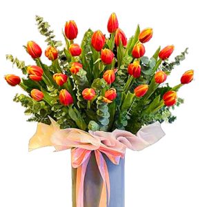 tulip flowers 24