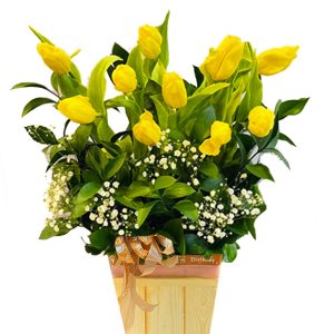 tulip flowers 25