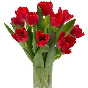 tulip flowers in vase 01