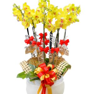 orchids for mom 020