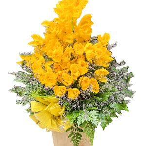 orchids mom 007